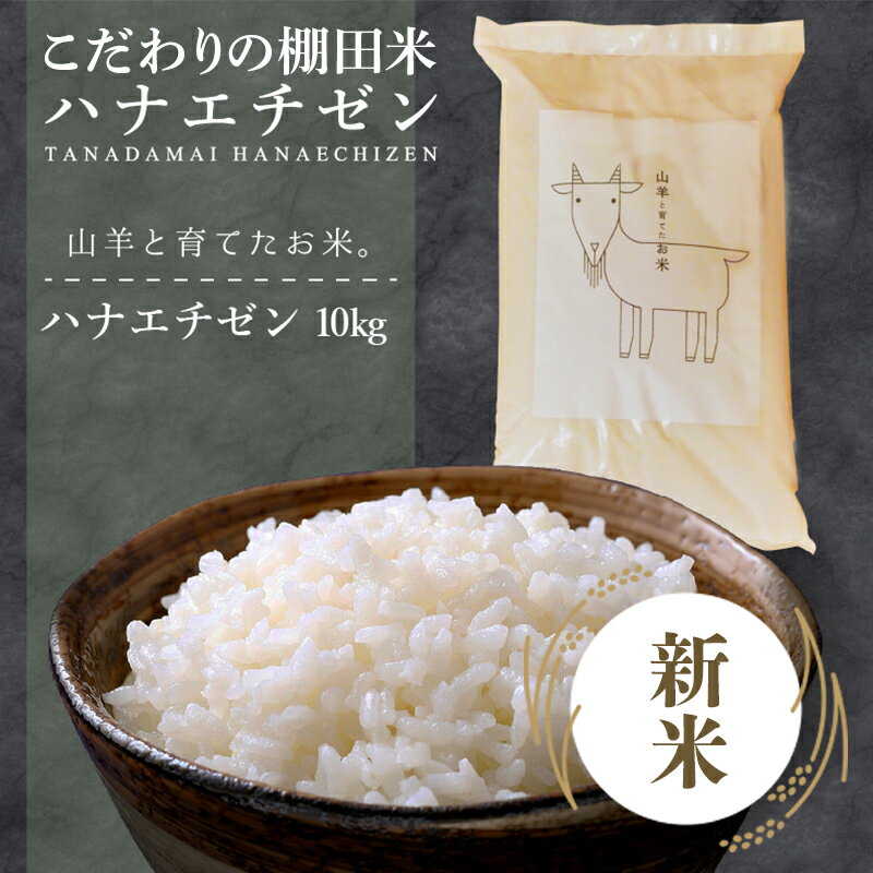 【ふるさと納税】★ 順次配送開始 令和7年産 新米 ★ 山羊と育てた こだわりの棚田米『ハナエチゼン』10kg (単一原料米) ＜数量限定＞【福井のおいしいお米 お米 米 コメ 白米 精米 棚田米 ごはん ご飯 国産 北陸産 ブランド米 10kg 10キロ NEW 新規】
