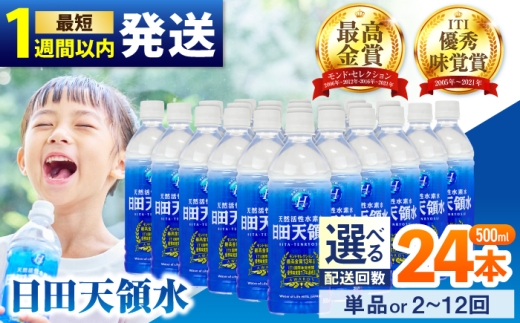 【全8回定期便】 日田天領水 500ml×24本 飲料水 水 みず 備蓄 防災 天然水 天然 ミネラルウォーター みねらるうぉーたー ミネラル シリカ 日田市 / グリーングループ株式会社 [AREG045]