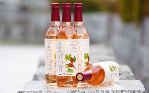 No.367 いちじくワイン　川西の朝露　720ml KWNAP001