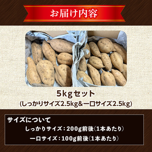 n331 ＜先行予約受付中！2025年10月下旬頃より順次発送予定＞種子島産 安納こがね(5kgセット) 国産 安納芋 黄金本場 種子島 芋 イモ いも さつまいも さつま芋 安納いも 野菜 【なかた