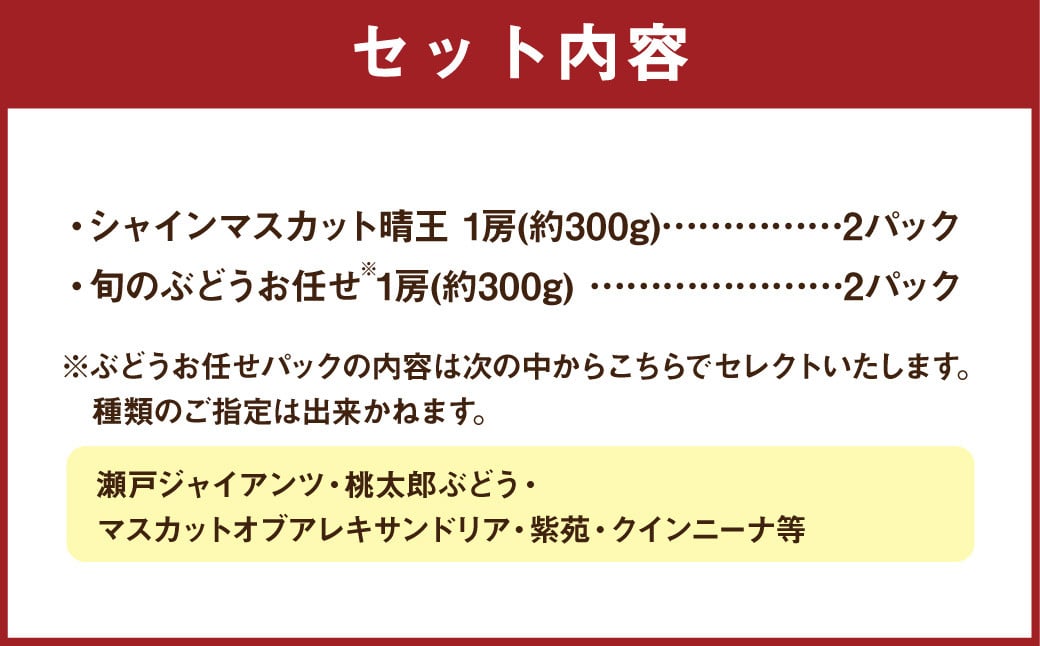 岡山県産 ぶどう パック詰合せ ※2種4パックセット 【2024年11月上旬～11月下旬発送予定】