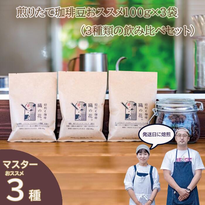 【ふるさと納税】煎りたて珈琲豆おススメ100g×3袋（3種類の飲み比べセット）（045_5001）