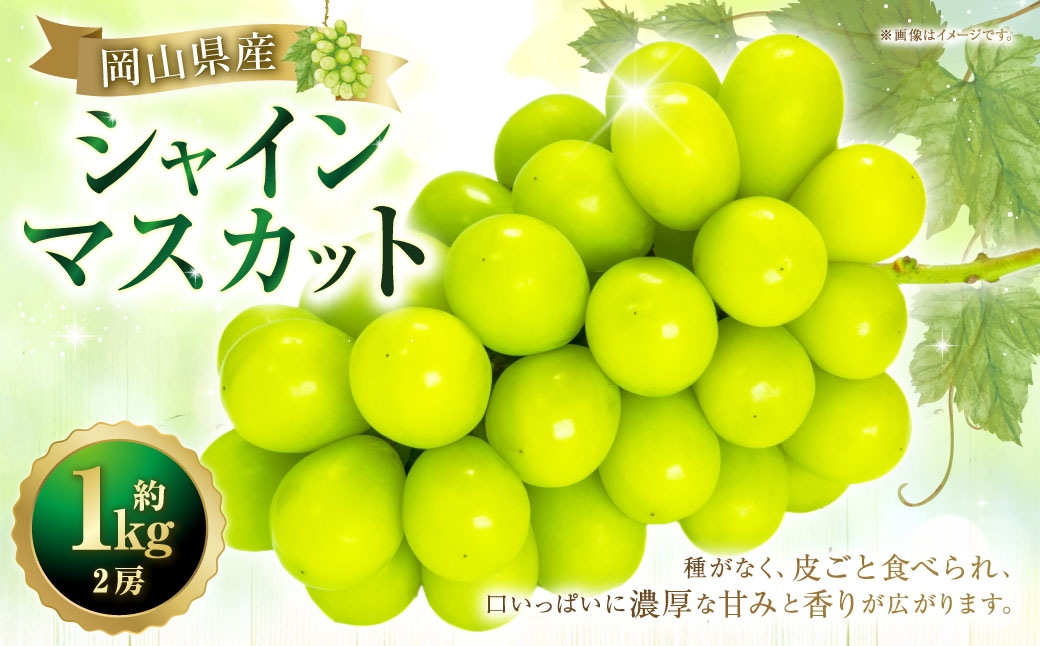 
                  シャインマスカット 2房 約1kg マスカット 葡萄 くだもの 果物 フルーツ 果実 ぶどう ブドウ 皮ごと 種無し ギフト 贈答 贈り物 果汁 国産 岡山県産  【 2026年10月下旬～11月下旬発送予定 】
                