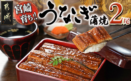 【2025年4月お届け】宮崎県育ちのうなぎ蒲焼2尾300g以上≪山椒・たれ付≫_13-M301-2504_(都城市) うなぎ蒲焼(有頭) 宮崎県産 真空 山椒・たれ付