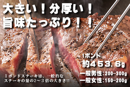 【年内お届け】くまもと黒毛和牛 1ポンド ステーキ 約500g※12月18日～28日発送※ 黒毛 和牛 1 pound ステーキ 500g ブランド牛 上質 常備 冷凍 熊本県 年内発送 年内配送 ク