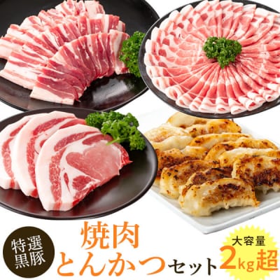 特選黒豚焼肉トンカツセット(約2.1kg)　B02075