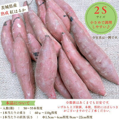 【ふるさと納税】産地直送!生さつまいも「熟成紅はるか」調理しやすい小さめサイズ5kg【1748778】