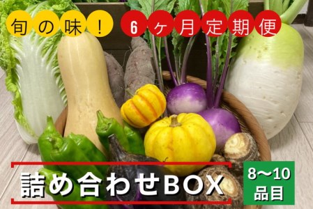 【6回定期便】野菜詰め合わせ めぐる農園 野菜