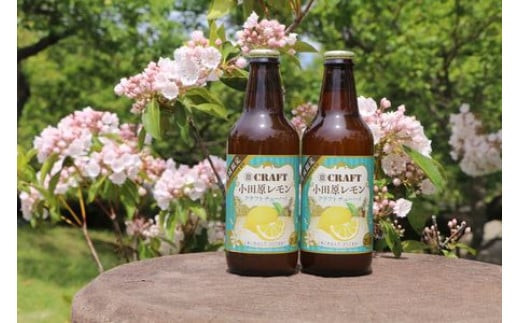 小田原レモンクラフトチューハイ　24本セット 142069_AX019