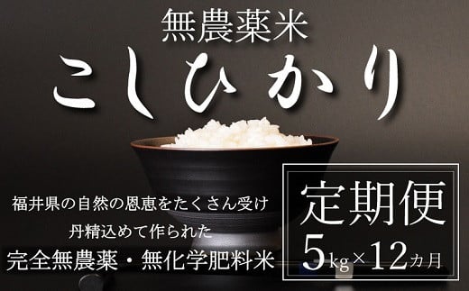 〈令和6年産・新米〉【定期便12回】無農薬米5㎏×12回（こしひかり）玄米