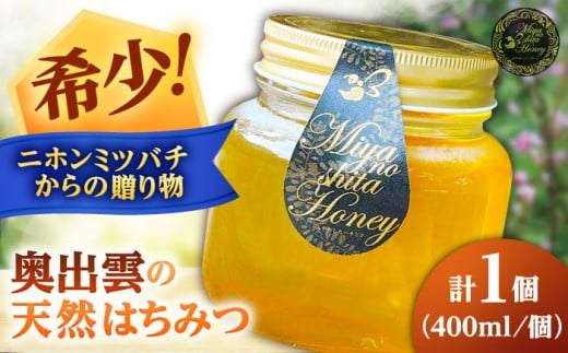 希少な天然日本ミツバチの「はちみつ」 400ml×1個 島根県雲南市/みやのしたハチミツ｜島根 雲南 天然 はちみつ ハチミツ 日本ミツバチ 希少 国産 純粋 蜂蜜 百花蜜 [AICL002]