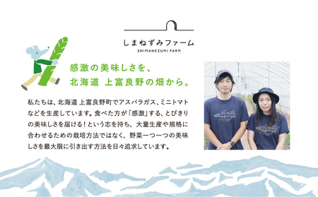 先行予約 【 2025年 発送 ！】北海道 上富良野産 ホワイトアスパラガス 3L サイズ 900g アスパラ ホワイトアスパラ 上富良野町 令和6年発送 先行受付 野菜 やさい