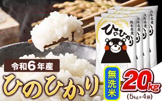 令和6年産  無洗米 ひのひかり 20kg 《7-14営業日以内に出荷予定(土日祝除く)》令和6年産 熊本県産 ふるさと納税 精米 ひの 米 こめ ふるさとのうぜい ヒノヒカリ コメ お米 おこめ