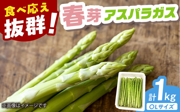 【2025年発送分先行予約】【春芽】アスパラガス 計1kg（〇Lサイズ） / アスパラ アスパラガス 野菜 新鮮 / 佐賀県 / さが風土館季楽 [41AABE103]