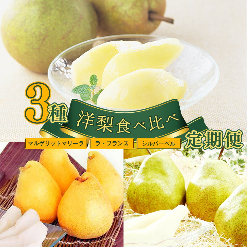 【ふるさと納税】 3回定期便 令和7年産 「洋梨食べ比べ 3種（追熟ラ・フランス マルゲリット・マリーラ シルバーベル）」 2025年産 ／ ラフランス 洋梨 西洋梨 お取り寄せ ご当地 旬 東北 山形県産 定期便 人気 期間限定 数量限定 限定 くだもの定期便