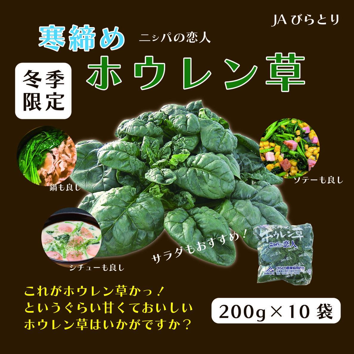 【ふるさと納税】【先行予約/2026年12月上旬以降発送】【北海道平取町産】寒締めホウレン草（ちぢみほうれん草）200g×10袋【 ふるさと納税 人気 おすすめ ランキング ほうれん草 ちぢみほうれん草 ホウレン草 寒締め 野菜 産地直送 北海道産 平取町 送料無料 】 BRTO003
