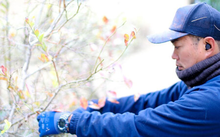 お庭のお手入れサービス（剪定・伐採・除草）25,000円分【堀造園】[AYCY004]