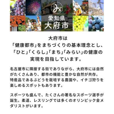 ふるさと納税 大府市 【大府市産新米5合付き】大・銘仙版  エアウィーヴ 座布団 ネイビー |  | 02