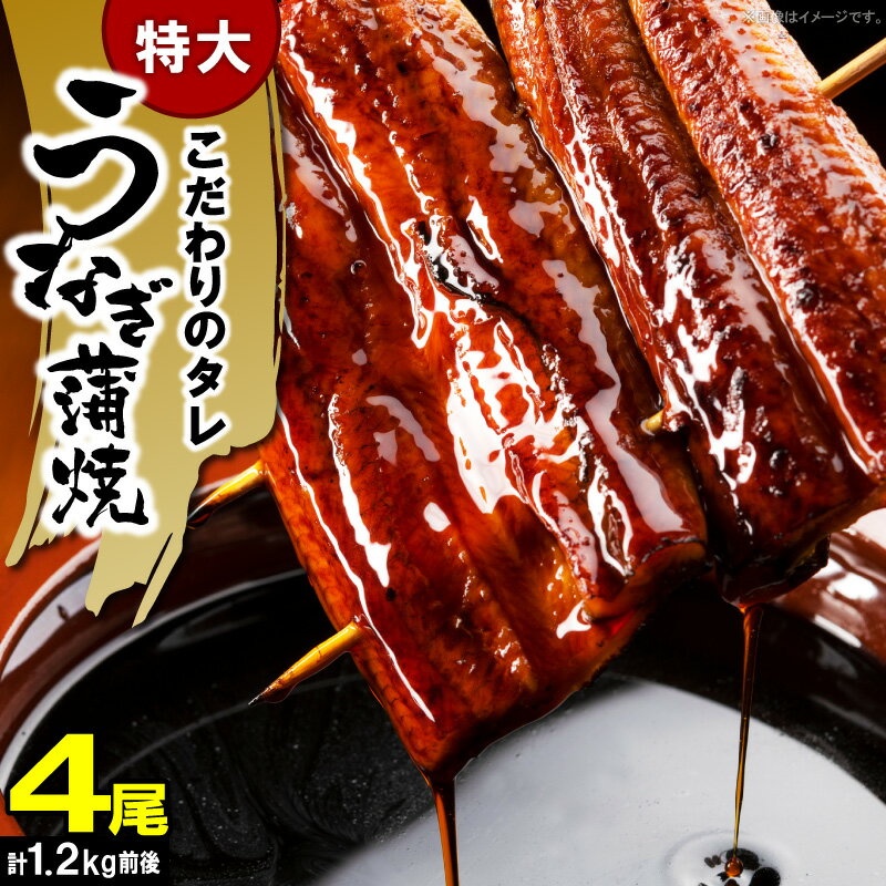 【ふるさと納税】うなぎ 蒲焼 特大 4尾 計 1.2 kg 前後 ビッグサイズ 特製 タレ 肉厚 ふっくら ジューシー 土用 丑の日 うな丼 ひつまぶし うまき うざく おかず おつまみ お弁当 食品 食べ物 グルメ お取り寄せ 冷凍 福岡県 上毛町 送料無料