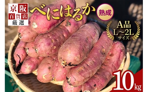 【京阪百貨店厳選】茨城県産べにはるか 10kg（熟成）[A品L～2Lサイズ] 芋 さつま芋 サツマイモ さつまいも B18-006