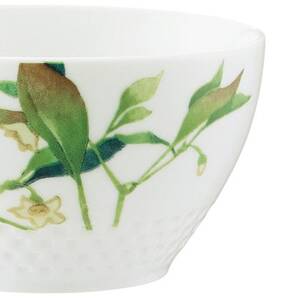 ノリタケ【京香旬彩】11cmボウルセット(絵変り5個)【1637977】