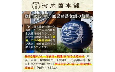 A3-006-A 《通常便》国産！霧島高原ビール2種飲み比べセット ブロンド・ガーネット各330ml(各種3本・計6本)【河内菌本舗】霧島市 地ビール ビール 麦酒 お酒 酒 瓶 通常便