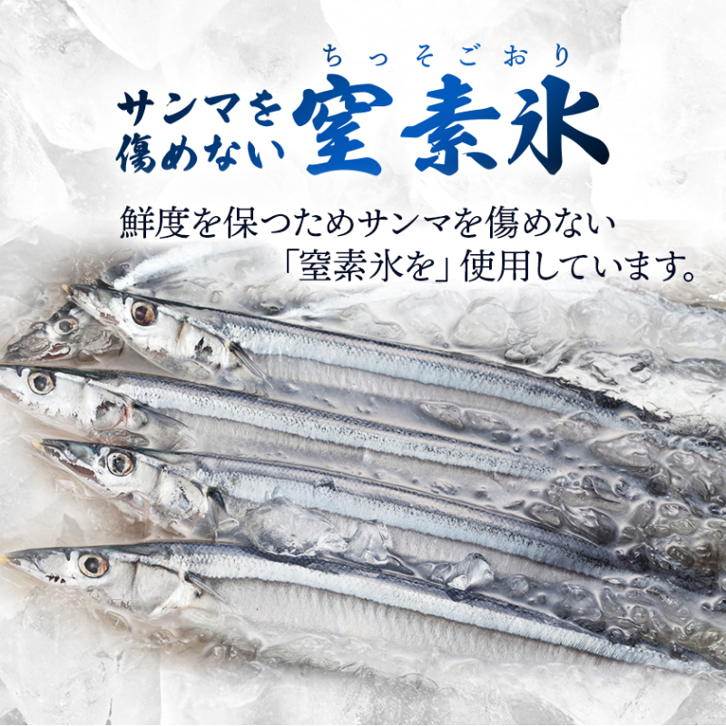 【予約受付中】 鮮さんま 8本入 （1尾 100g~120g） 岩手大船渡産 サンマ 秋刀魚 [oikawa011_1]