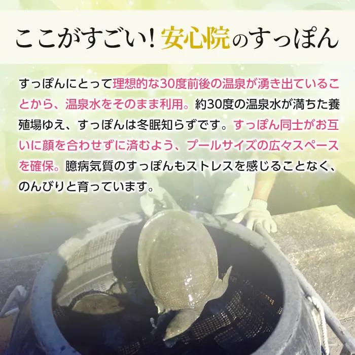 おおいた 美・すっぽんぜりー ぶどう風味(計30本・10本×3箱)小分け 葡萄 ゼリー スッポン 常温 保存【115300500】【アンフィニプロジェクト】