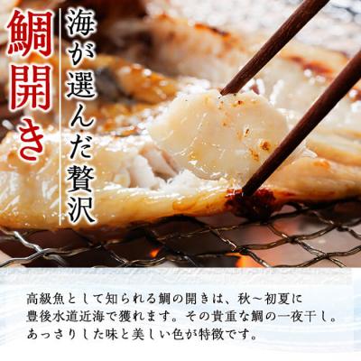 ふるさと納税 佐伯市 <定期便・全4回>ギフト用品質!九州産 ひもの 季節の 定期便 (総計35枚) |  | 01
