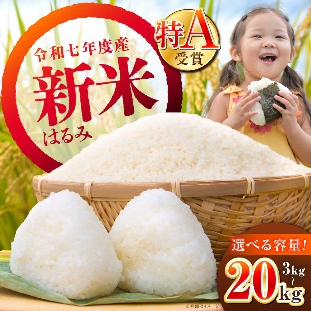 【ふるさと納税】【12月25日(木)ご入金確認分まで年内発送】選べる容量！【令和7年産】【特Aランク受賞実績あり！】はるみ 3kg 5kg 10kg 20kg【井上農園】 米 お米 精米 白米 はるみ 新米 令和7年産[BDBB001]