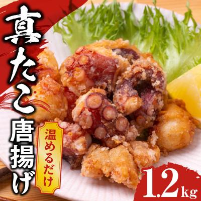 ふるさと納税 泉佐野市 【簡単調理】ぶつ切り 真たこ 唐揚げ 1.2kg バラ凍結 kgp0109