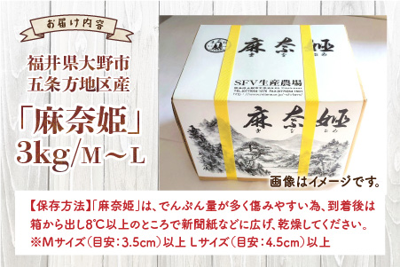 【先行予約】上庄里芋「麻奈姫」3kg「農家直送」【11月初旬から順次発送】