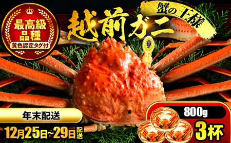 【年末配送】越前がに 800ｇ×3ハイ ズワイガニ 【先行予約/12月25日より順次発送】【配送不可地域：北海道・沖縄・離島】[BFCS041]