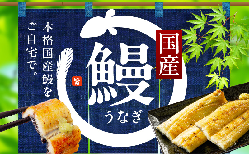 【白醤油焼き】国産うなぎ 合計800g【160g×5尾 せいろ蒸し 備長炭 鰻 ウナギ 手焼き レンジ 温めるだけ 簡単調理】 kgp0043-1