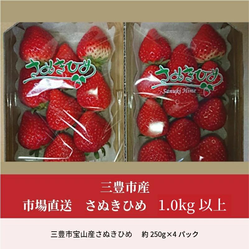【ふるさと納税】【2025年出荷】【配送不可地域：北海道・沖縄県・離島】三豊市産【市場直送　さぬきひめ　1.0ｋｇ以上】  秋 旬