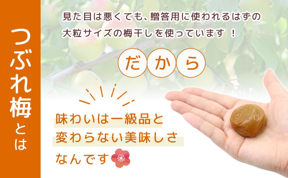 紀州南高梅 塩分約2.7% 大粒 訳ありつぶれ梅 はちみつ梅 400g×2個 800g 減塩梅干し 紀州梅本舗【大粒 つぶれ梅 南高梅 ワケあり 梅干し お漬物 和歌山県 白浜町】