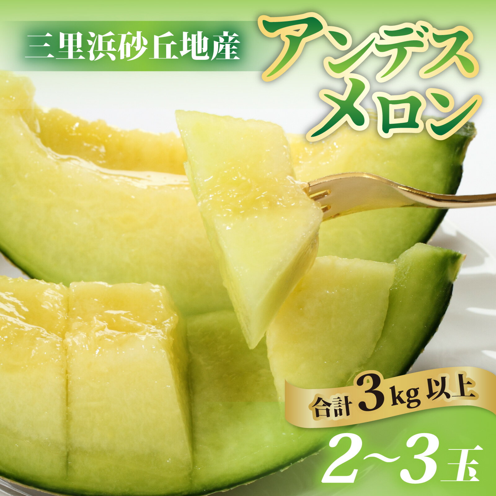 【ふるさと納税】【先行予約】【訳あり】立体栽培の甘味凝縮アンデスメロン [A-180001] 【2026年6月下旬発送予定】【福井市三里浜砂丘地産】2L～5Lサイズ　2～3玉入り　約3Kg以上 / メロン アンデス めろん フルーツ 果肉 スイーツ 旬 福井 青肉 3L 4L 5L 2玉 3玉 3kg