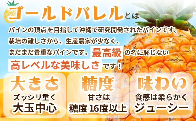 【先行予約】《2025年夏季 順次発送》ゴールドバレルパイン大玉２個入り 計3.4kg　SI-39