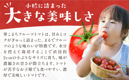 トマト 華こまち フルーツトマト 200g×4パック《11月上旬-6月上旬頃出荷予定》 