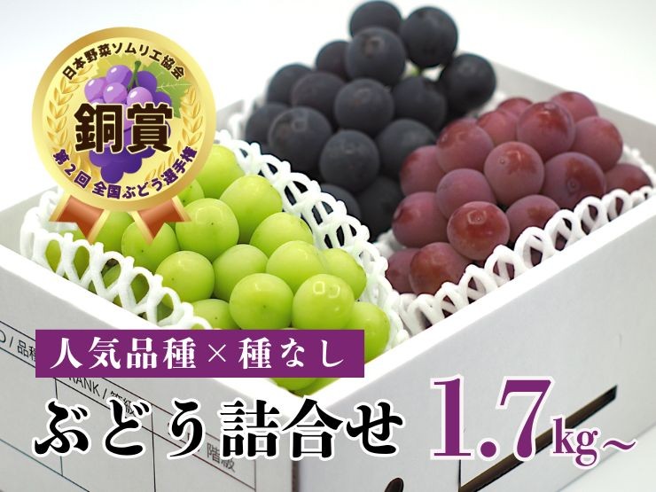 
                  【産地直送】シャインマスカットと大粒系ぶどう詰合せ　１.７ｋｇ以上　0140-2606
                