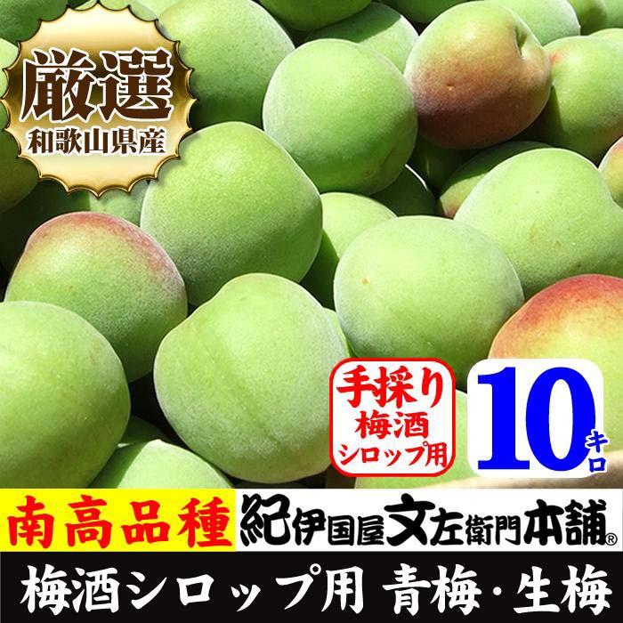 【ふるさと納税】南高梅【緑】10kg 大サイズ 厳選南高梅 梅酒用 フレッシュ青梅（生梅）／紀伊国屋文左衛門本舗