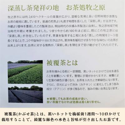 ふるさと納税 牧之原市 牧之原産かぶせ茶「望」金印 5袋セット |  | 01