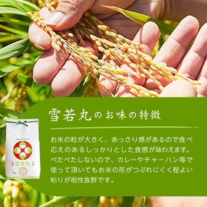 《先行受付》令和7年産　山形県産　雪若丸　4kg_米 こめ 白米 精米 精白米 雪若丸 山形県 ブランド米 産地直送 人気 おすすめ 贈答 ギフト プレゼント 送料無料 お取り寄せ お米 ごはん_【1