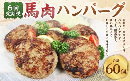 C39Z6【定期便 6回】馬肉 ハンバーグ 150g×10個 計9kg