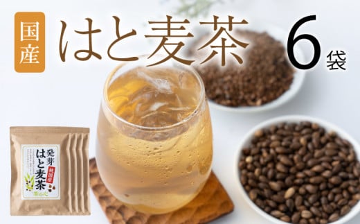 麦茶 はと麦茶 60包 6袋 ティーバッグ