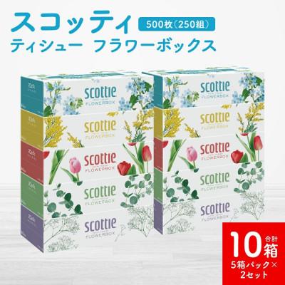 ふるさと納税 八代市 【スコッティ】ティシュー フラワーボックス 250組(5箱パック×2セット 合計10箱)