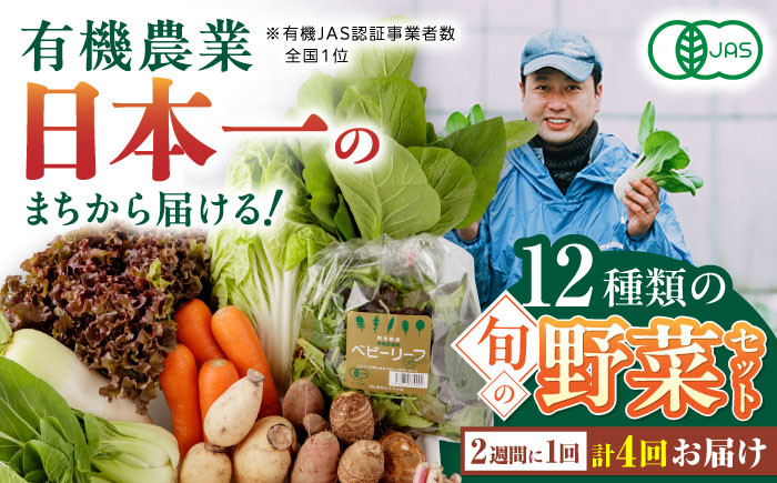 
【全4回隔週定期便】有機野菜 オーガニック 12種セット 野菜 有機JAS認定 詰め合わせ オーガニック野菜 熊本県産 山都町産 産地直送 熊本直送 【株式会社 肥後やまと】[YAF016]
