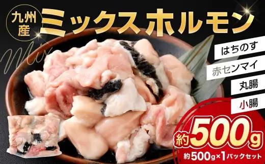 ミックスホルモン 約500g（約500g×1パック）ホルモン 九州産 ミックス 丸腸 赤センマイ はちのす 小腸 冷凍 福岡県 北九州市