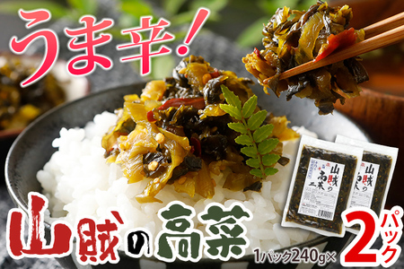 辛子高菜 240g×2パック（480g） 山賊の高菜 からし高菜 メール便 ポッキリ お米に合う ご飯のお供 おつまみ 国産 無添加 お取り寄せ 福岡 お土産 九州 グルメ 福岡県