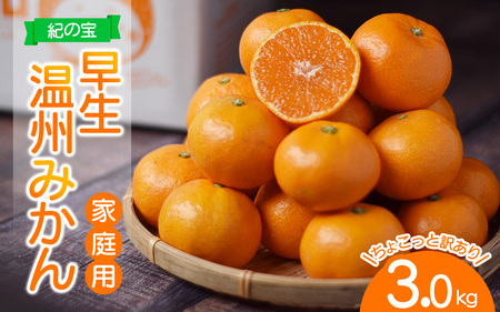 ご家庭用 みかん たにぐち農園の 早生 温州みかん (マルチ栽培) 3kg ちょこっと訳あり 【2025年11月中旬～12月中旬に順次発送】 不揃い / みかん フルーツ 果物 くだもの【mtn102B】